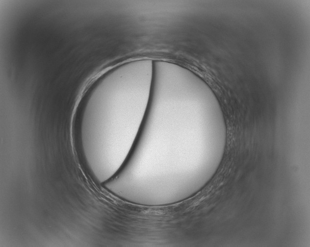 X0000076400294200610060936