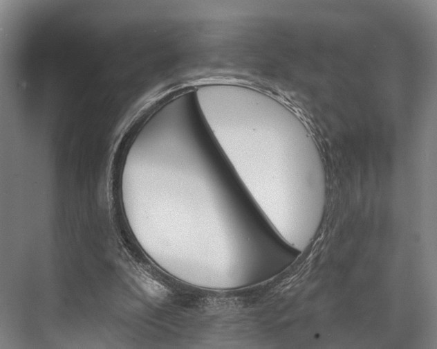 X0000076400296200610060936