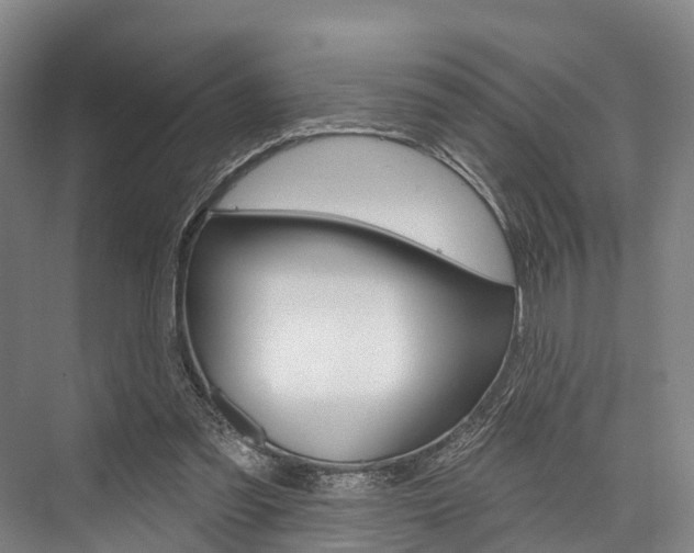 X0000076400301200610060936
