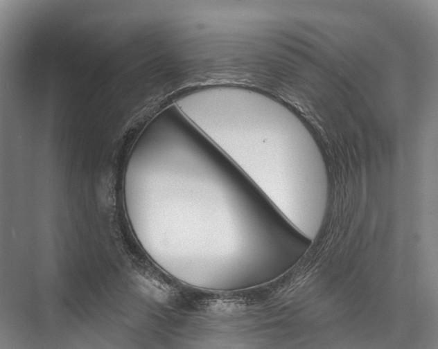 X0000076400303200610060936