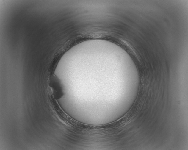 X0000076400307200610060936