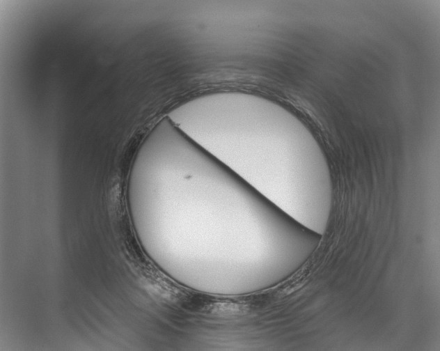 X0000076400314200610060936