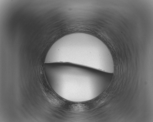 X0000076400316200610060936