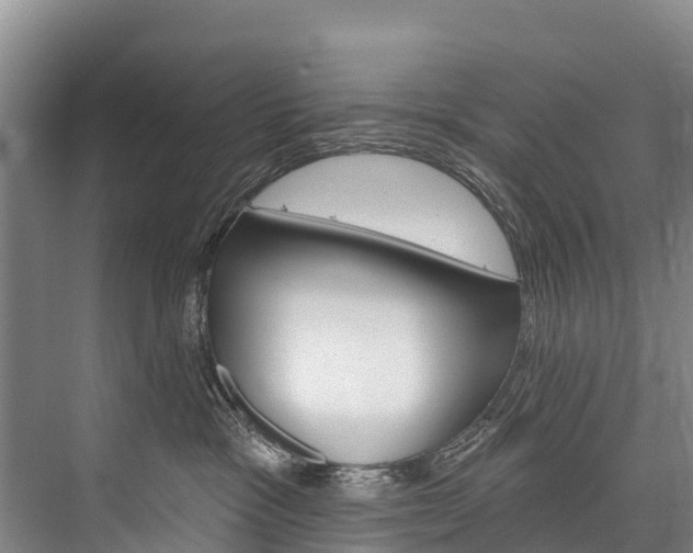 X0000076400333200610060936