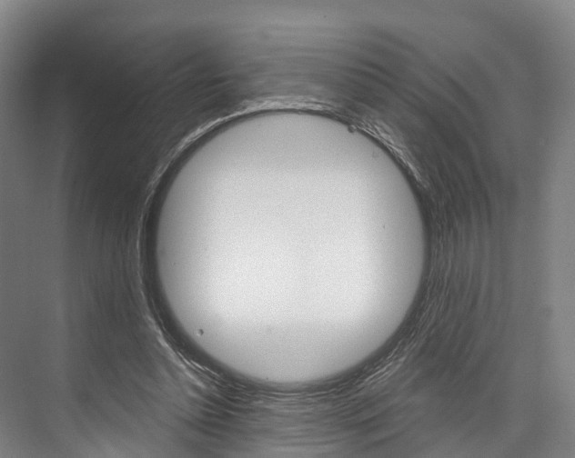X0000076400348200610060935