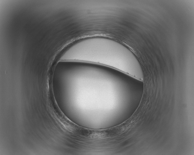 X0000076400350200610060935
