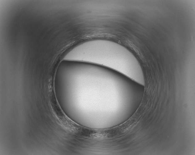 X0000076400356200610060935