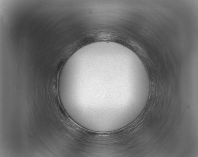 X0000076400361200610060935