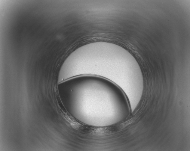X0000076400382200610060936