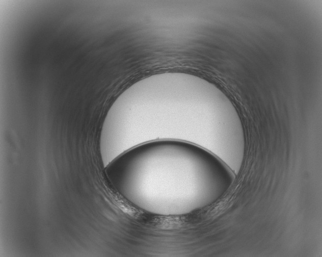 X0000076400384200610060936