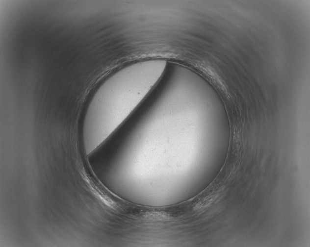 X0000076400397200610060935