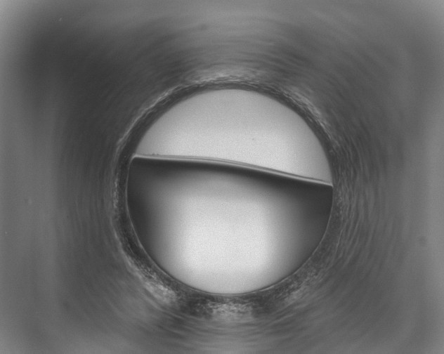 X0000076400400200610060935