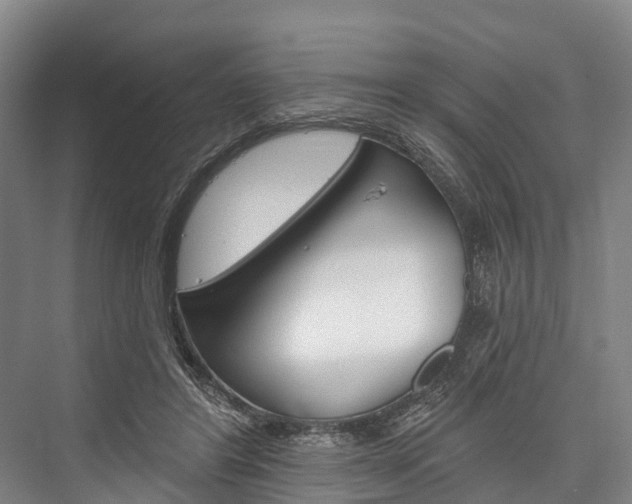 X0000076400404200610060935