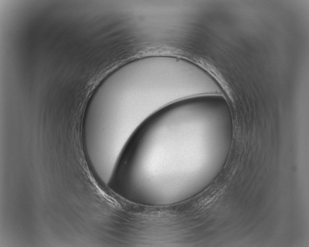 X0000076400433200610060933