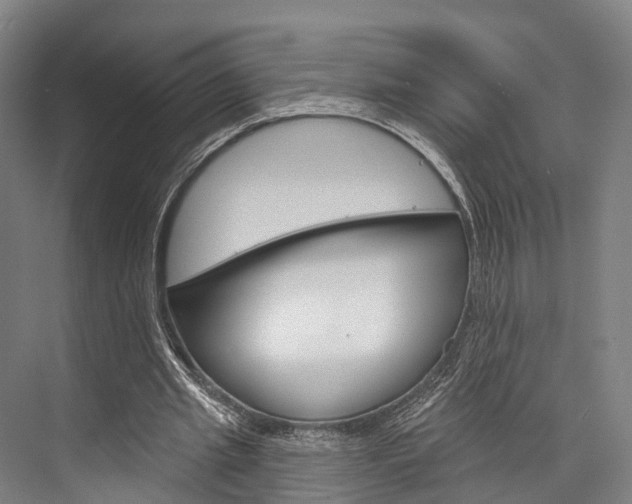X0000076400437200610060933