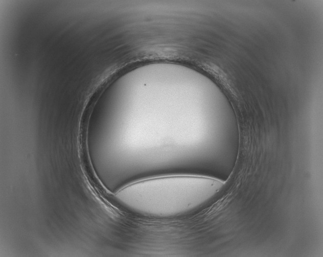 X0000076400439200610060933