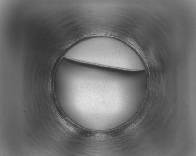X0000076400441200610060933