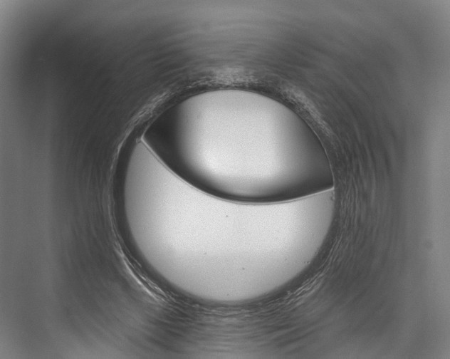 X0000076400443200610060934