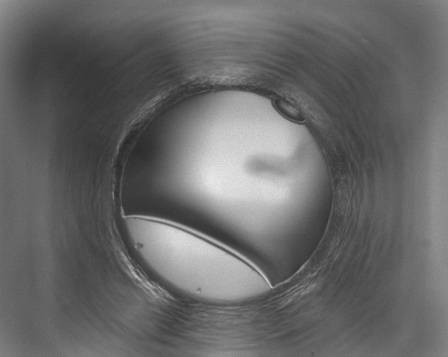 X0000076400446200610060934