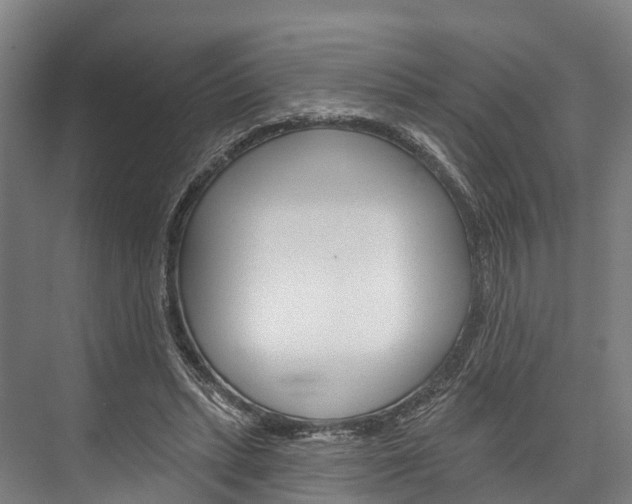 X0000076400447200610060934