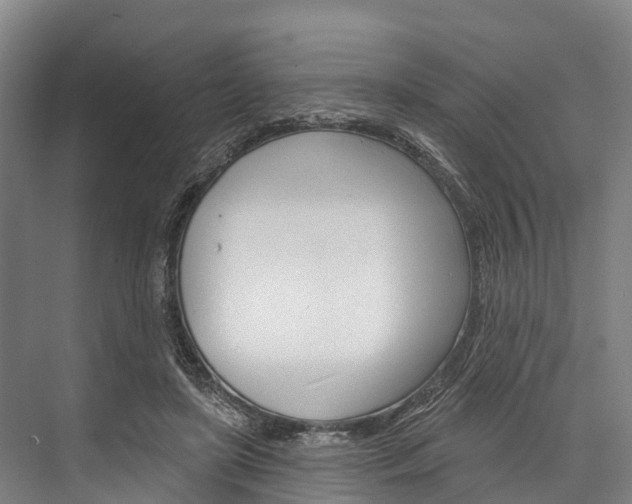 X0000076400451200610060934