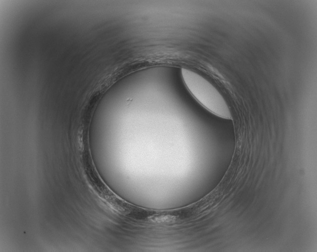 X0000076400452200610060934
