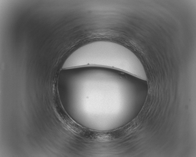 X0000076400456200610060934