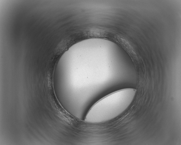 X0000076400457200610060934