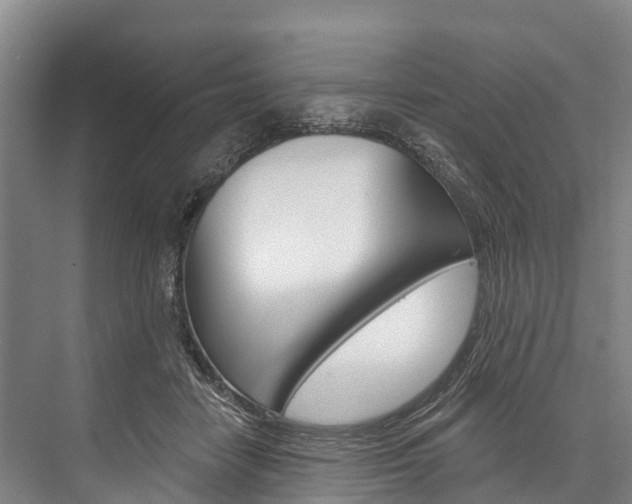 X0000076400458200610060934