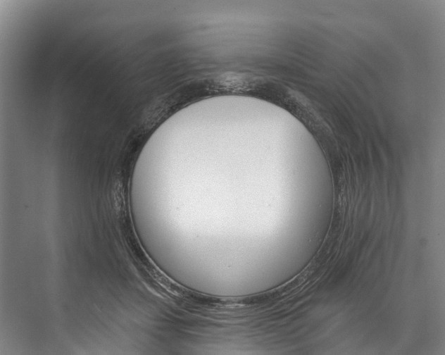 X0000076400459200610060934