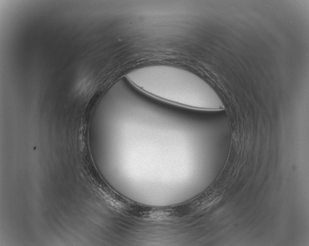 X0000076400462200610060934