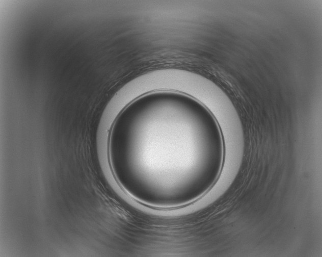 X0000076400463200610060934