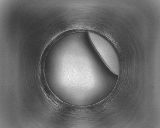 X0000076400488200610060933