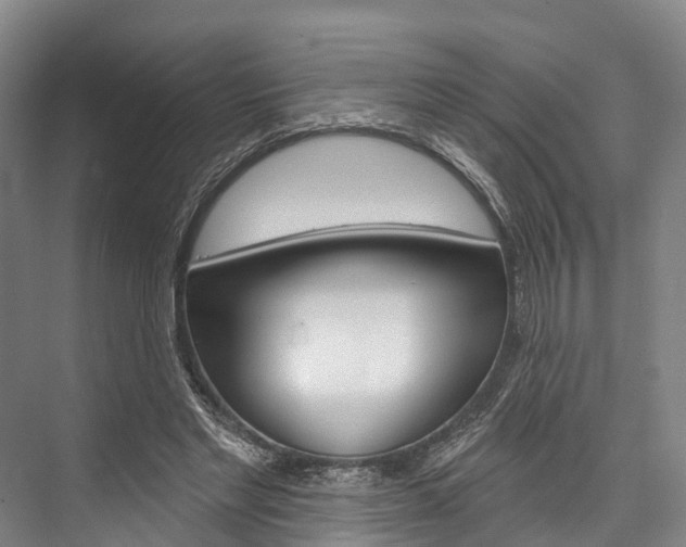 X0000076400493200610060933