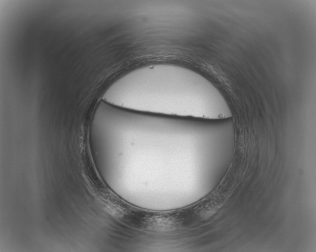 X0000076400498200610060933