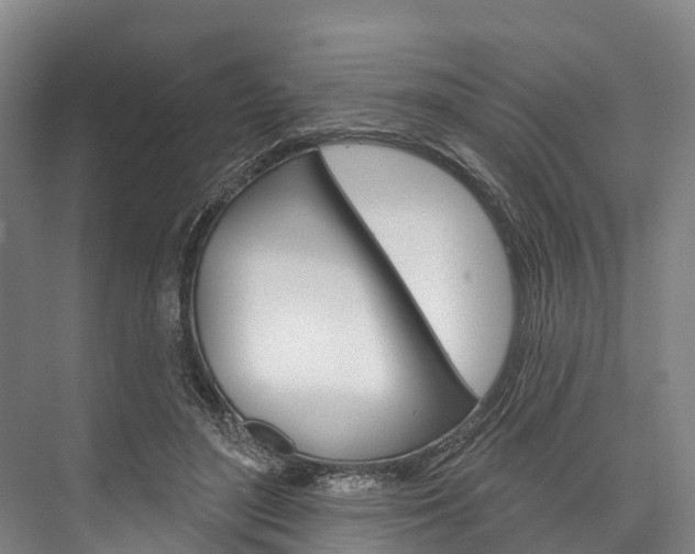 X0000076400500200610060933