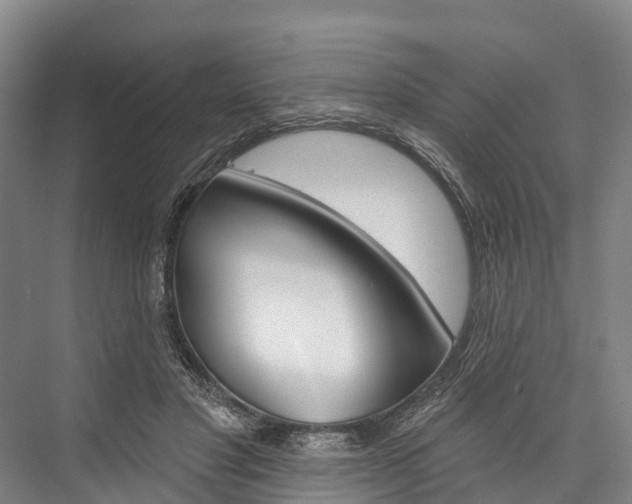 X0000076400501200610060933