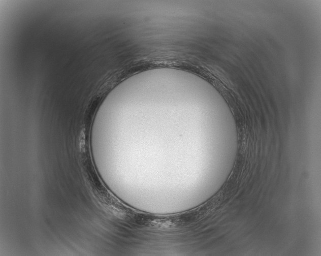 X0000076400502200610060933