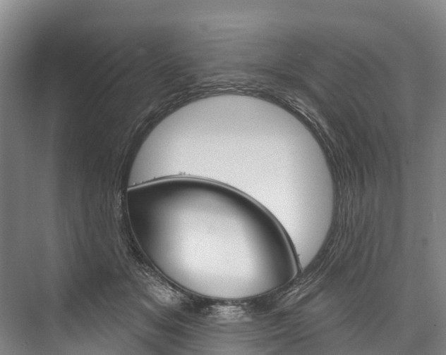 X0000076400509200610060933