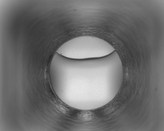 X0000076400514200610060933
