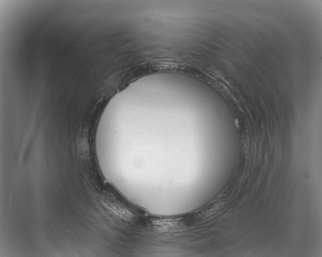 X0000076400516200610060933