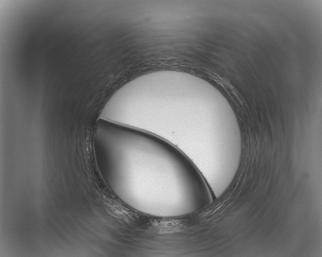 X0000076400517200610060933