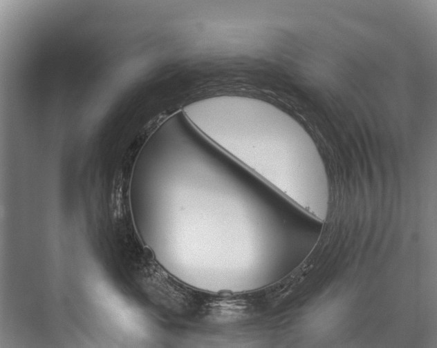 X0000076400525200610060933