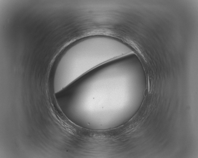 X0000076400531200610060932