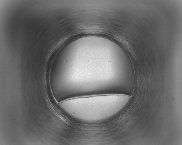 X0000076400535200610060932
