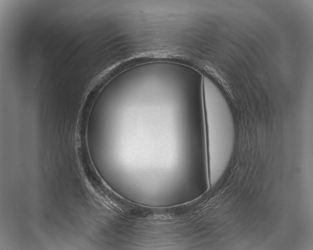 X0000076400536200610060932
