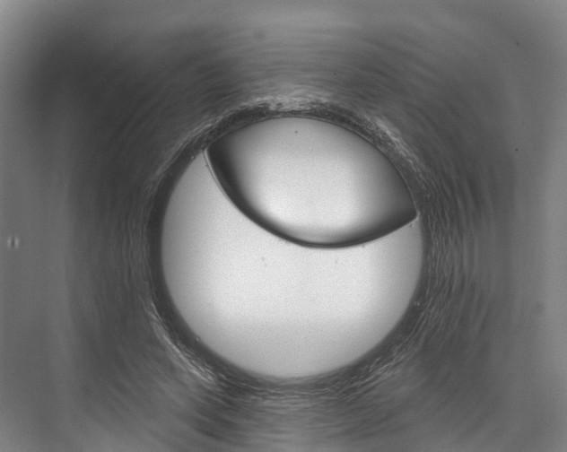 X0000076400543200610060932