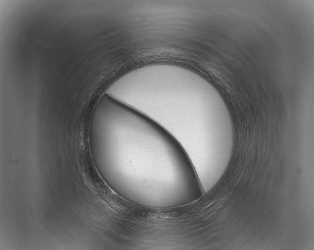 X0000076400547200610060932