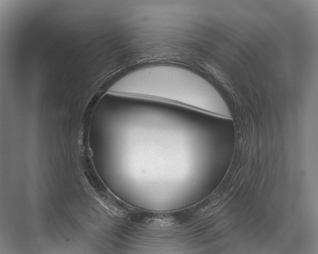 X0000076400548200610060932