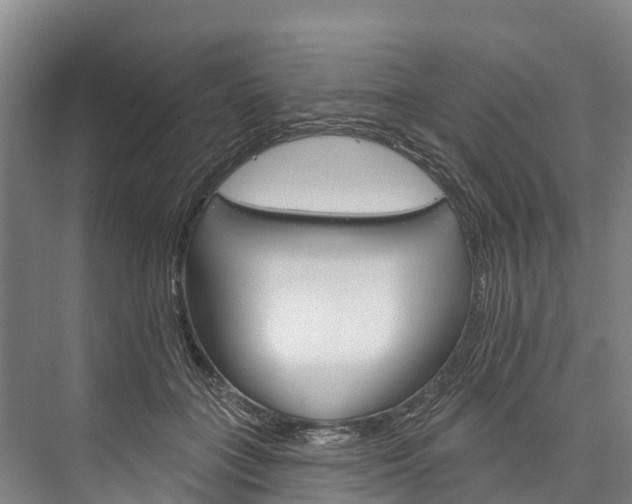 X0000076400555200610060932